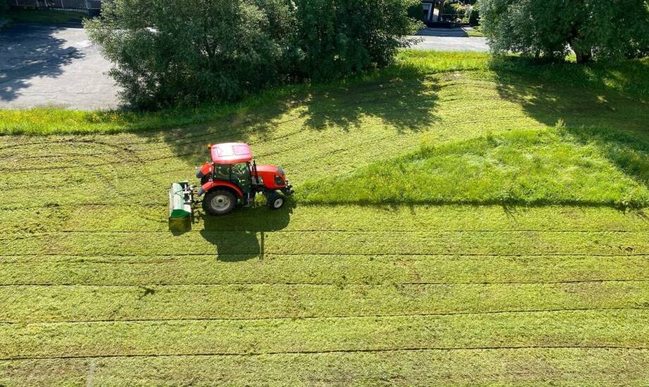 Jak sposób koszenia wpływa na glebę i odrost roślin na nieużytku