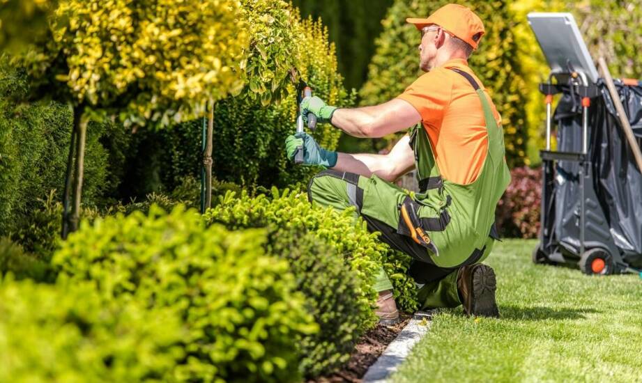 Sezonowa opieka nad zielenią wokół posesji w klimacie Tarnowa Podgórnego