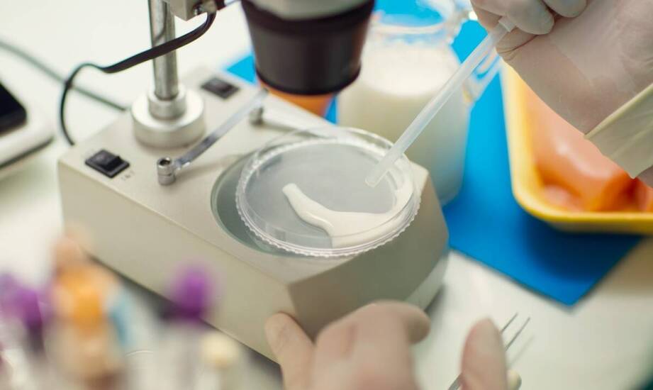 Jak dobór odczynników wpływa na ostrość prążków w elektroforezie DNA i białek