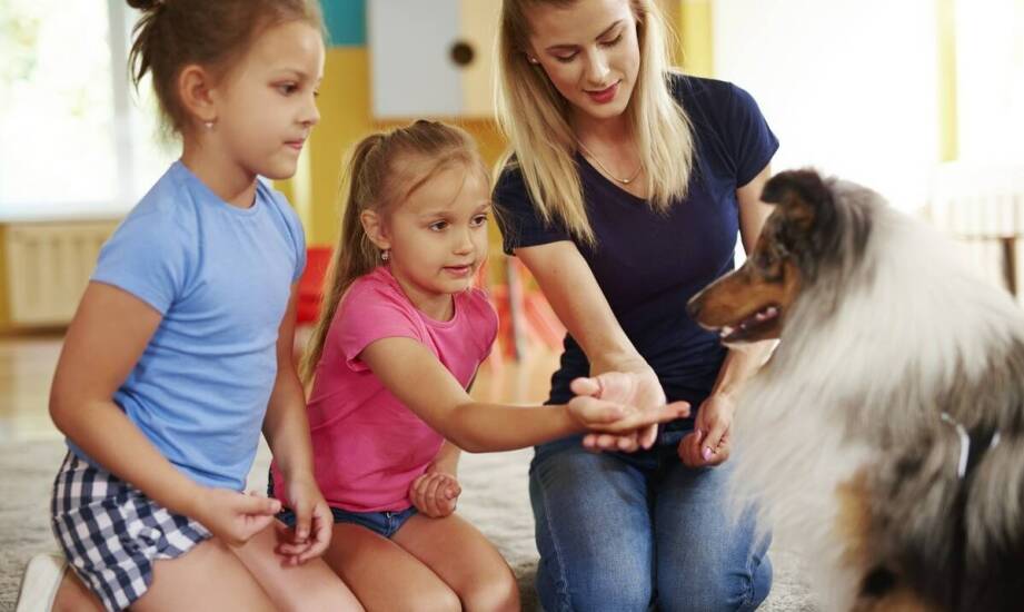 Dogoterapia w przedszkolu integracyjnym — co zmienia w emocjach i kontaktach dzieci