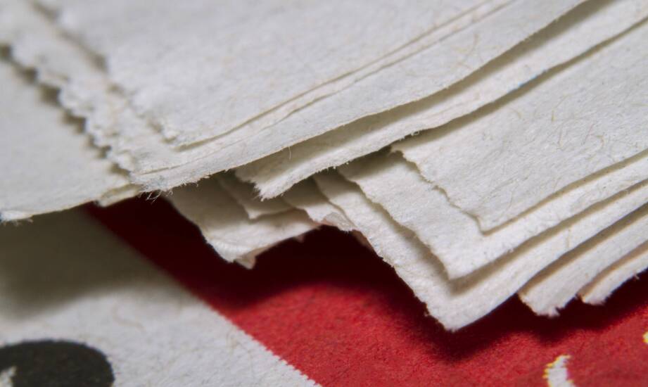 Papier pod pisklęta w pierwszych dniach odchowu — co zmienia w kurniku