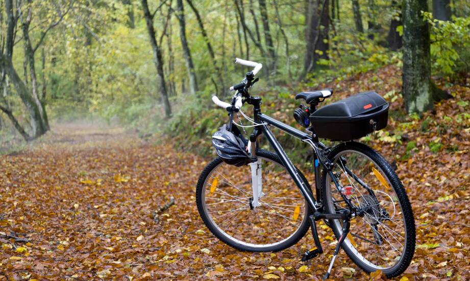 Jak dopasować trekking do sylwetki i spokojnej jazdy po mieszanych trasach