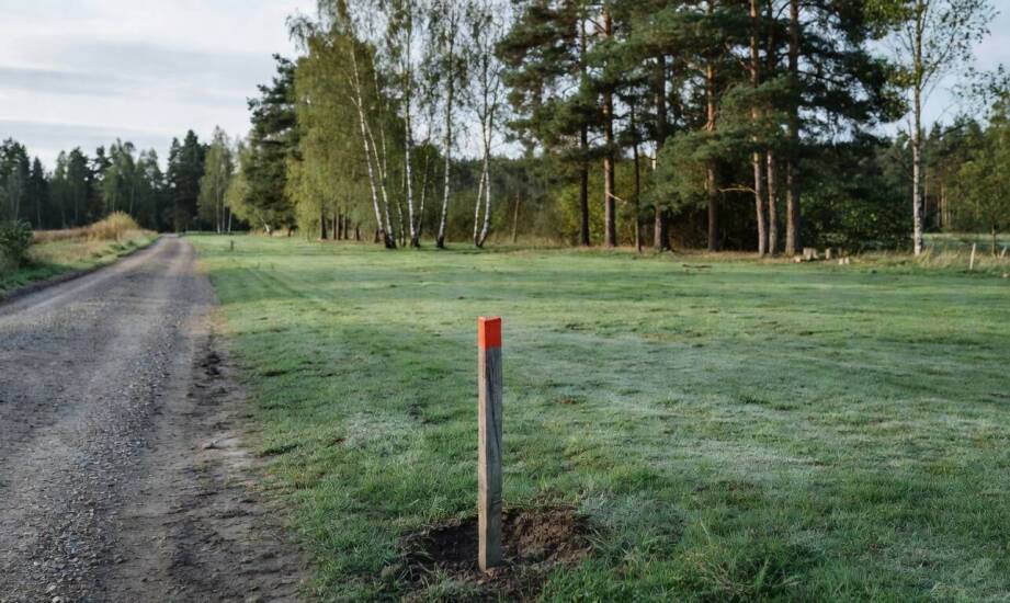 Jak przygotować działkę do sprzedaży, by uniknąć blokad przy dokumentach i oględzinach
