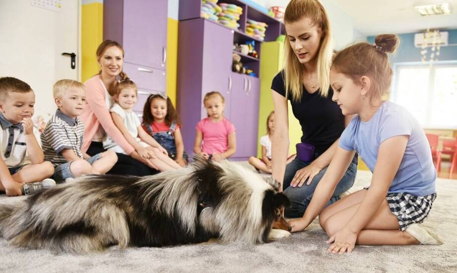 Jakie zmiany w zachowaniu dziecka z ADHD i autyzmem widać podczas dogoterapii w przedszkolu