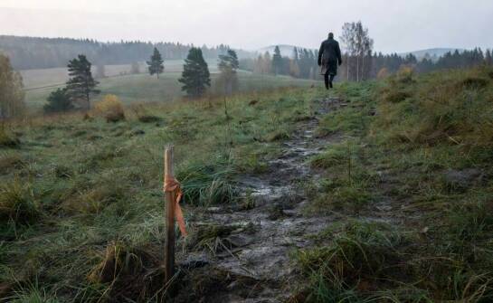 Jak ocenić działkę na Dolnym Śląsku przed budową drewnianego domu całorocznego