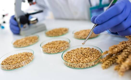 Co pokazuje laboratoryjna analiza paszy: od skażenia mikrobiologicznego po wartość odżywczą