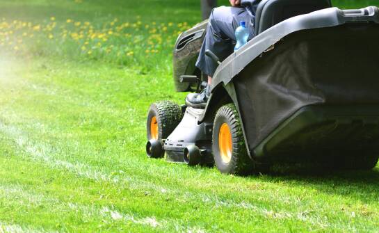 Seria LT, XT i XZ w Cub Cadet — co oznaczają dla polskiego ogrodu