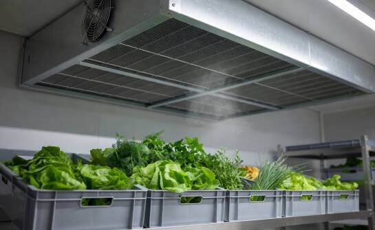 Dlaczego standardowy klimatyzator nie sprawdza się jako główne źródło chłodu w komorze magazynowej