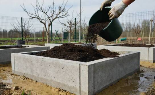 Kiedy betonowy warzywnik pomaga uporządkować uprawy na gliniastych działkach w Łódzkiem