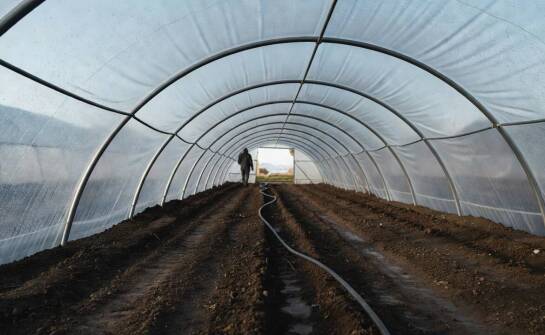 Jak przygotować tunel foliowy do odkażania bez ryzyka dla folii i osadów organicznych