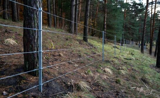Dlaczego wysokość 160 cm bywa granicą między ochroną a dodatkowymi zabezpieczeniami