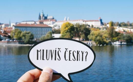 Jak uniknąć błędów przy przekładzie dokumentów urzędowych?