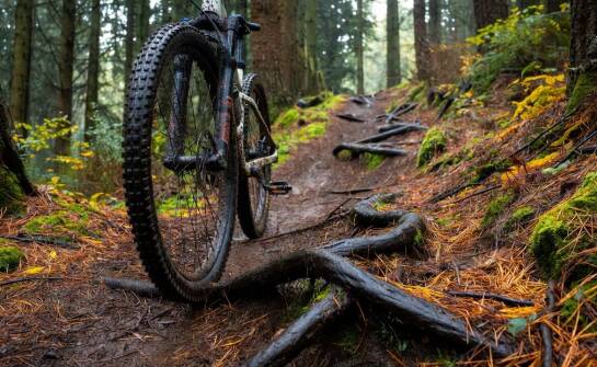 Na jakich trasach XC przestaje wystarczać, a trail lub enduro mają więcej sensu