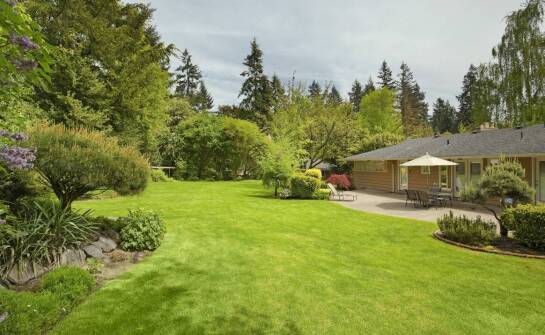 Zakładanie trawnika od podstaw – dlaczego warto zaufać profesjonalistom