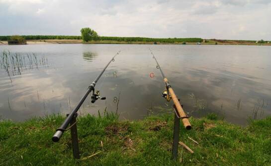 Dlaczego parasol karpiowy 3m jest niezbędny podczas długich wypraw wędkarskich?