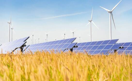 Wpływ odnawialnych źródeł energii na środowisko i budżet domowy
