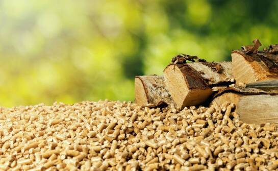 Jakie wyzwania stoją przed producentami pelletu w kontekście ekologii?