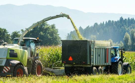 Jakie rozdrabniacze można znaleźć w ofercie agro Frankopol?