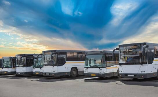 Transfery biznesowe – wynajem busa dla 20 pracowników
