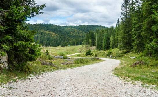 Najlepsze trasy trekkingowe na Maderze dla początkujących i zaawansowanych