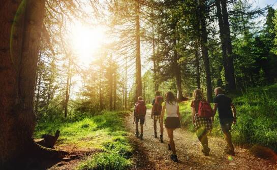 Jak trekking na Maderze może urozmaicić program obozu sportowego?