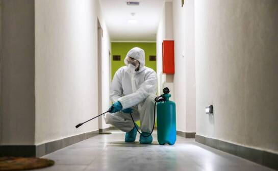 Skuteczna deratyzacja w Pruszkowie – co warto wiedzieć przed zleceniem usługi?