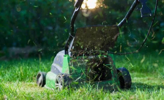 Hydrosiew maszynowy a biostymulanty – jak zwiększyć efektywność wzrostu trawy?