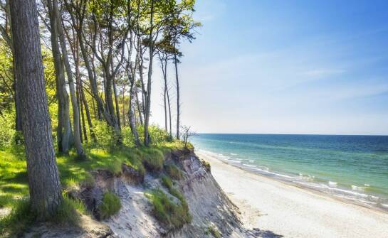 Wykorzystanie geosiatek w ochronie brzegów morskich przed erozją
