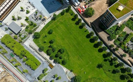 Jakie odmiany trawy z rolki najlepiej sprawdzą się w miejskich parkach?