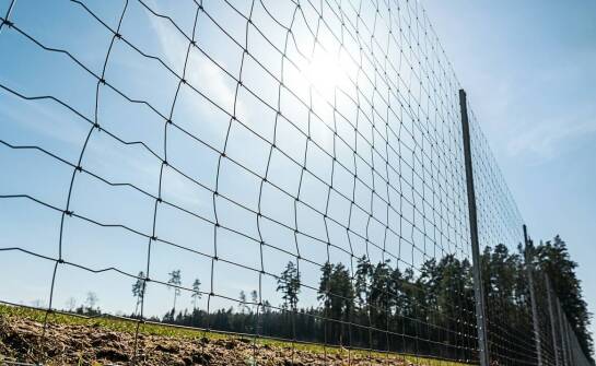 Rola siatki leśnej 180 w zapewnieniu bezpieczeństwa na terenach rekreacyjnych
