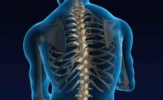 Diagnostyka kręgosłupa – jak ośrodek ortopedyczny wykorzystuje nowoczesne technologie?