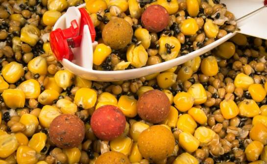 Porównanie różnych rodzajów pelletu traper - który wybrać?