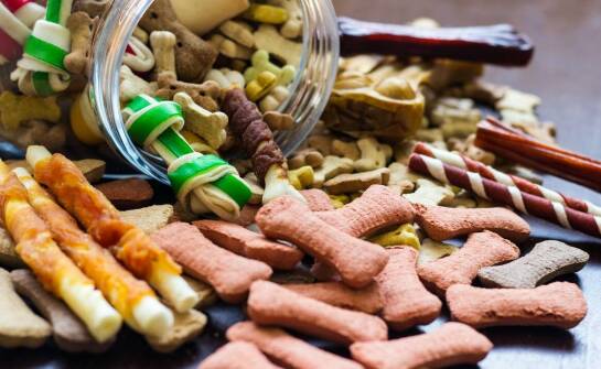 Naturalne gryzaki a dieta eliminacyjna u małych psów