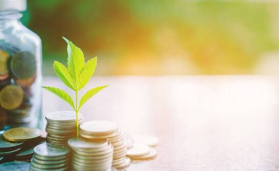 Trendy w finansowaniu ekologicznych projektów – co warto wiedzieć?