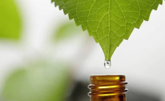 Olej CBD 5 w profilaktyce zdrowotnej – jak go stosować?