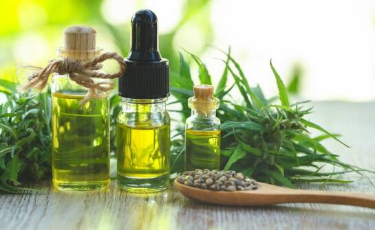 Właściwości terapeutyczne olejku konopnego w medycynie naturalnej