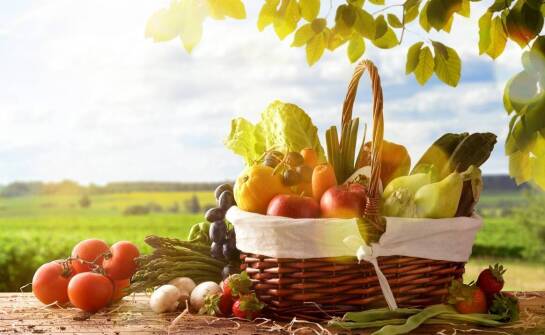 Przekąski finger food na pikniki: co warto uwzględnić w menu?