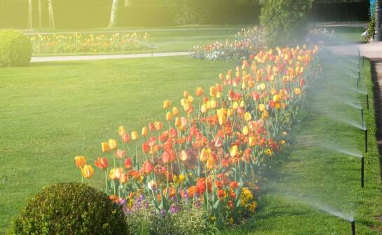 Zraszacz statyczny a tradycyjne metody podlewania – co warto wiedzieć?