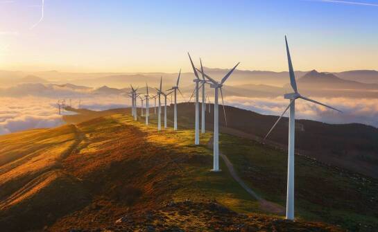 Analiza rynku: jakie są perspektywy rozwoju sektora energii wiatrowej?