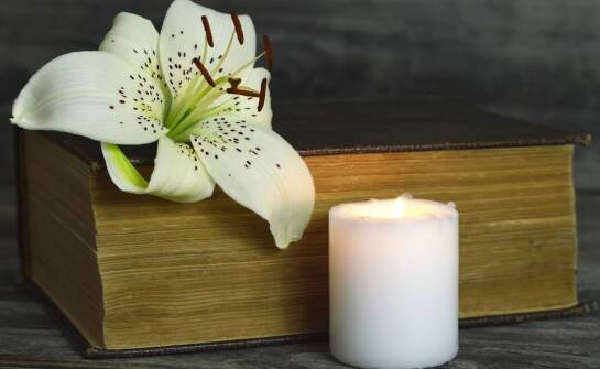 Jakie opcje pożegnania oferuje profesjonalne krematorium dla pupili?