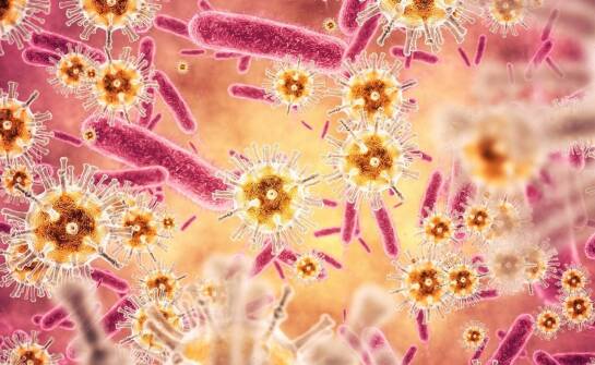 Jak bakteria Clostridium difficile wpływa na zdrowie jelit?
