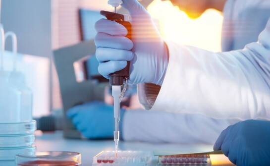 Skuteczność testów na boreliozę – jak wygląda diagnostyka?
