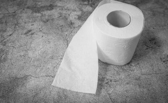 Dlaczego w publicznych toaletach warto stosować ekologiczny papier toaletowy?
