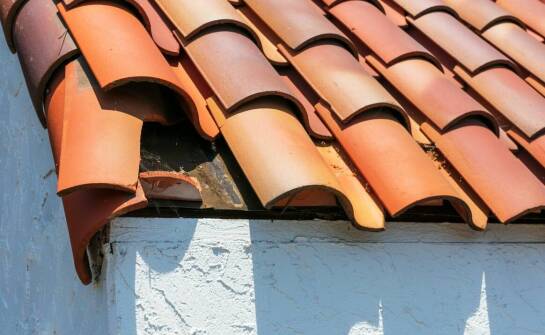 Wpływ fachowego doradztwa na wybór dachówki ceramicznej