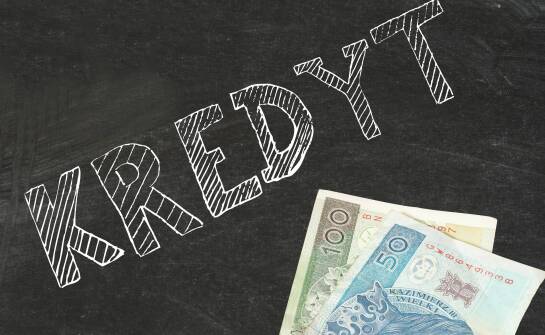 Czy raty kredytu można wliczyć w koszty firmy?