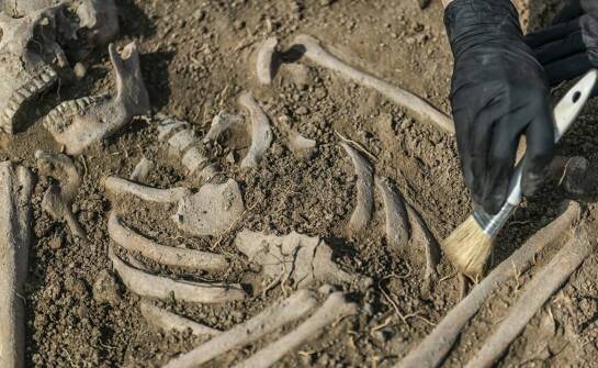 Wpływ profesjonalnego nadzoru archeologicznego na realizację projektu