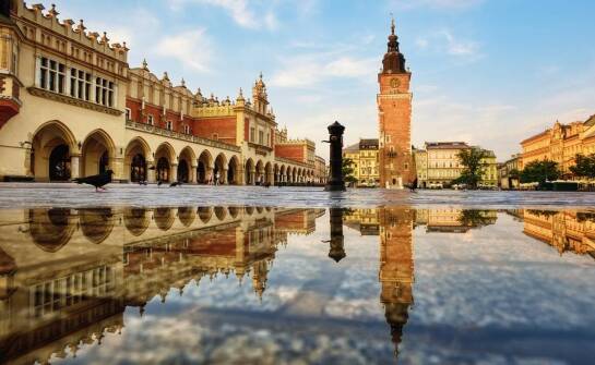 Jakie branże w Krakowie najczęściej zatrudniają pracowników z Ukrainy?