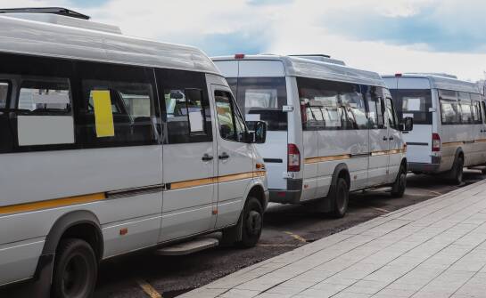 Jakie są zasady dotyczące przewozu zwierząt na trasie Bydgoszcz-Belgia?