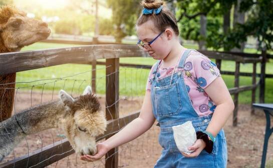 Jak alpakoterapia wspiera rozwój emocjonalny uczestników?