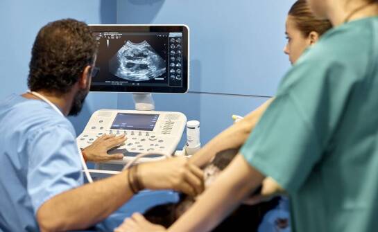 Ultrasonografy rs 80: jak nowoczesne funkcje poprawiają dokładność badań?